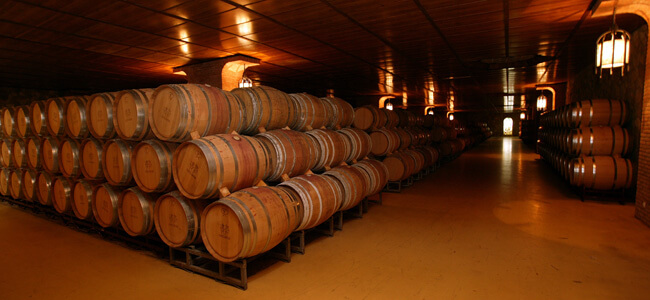 Bodega-Museo del Vino Ontañón